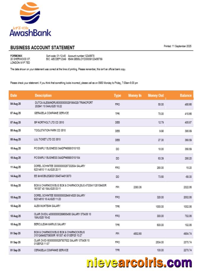 Editable Awash Bank Firm Account Statement Word And PDF Template