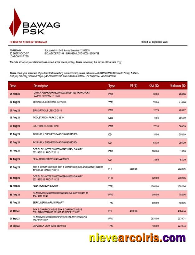 Realistic BAWAG PSK Bank Firm Account Statement Word And PDF Template