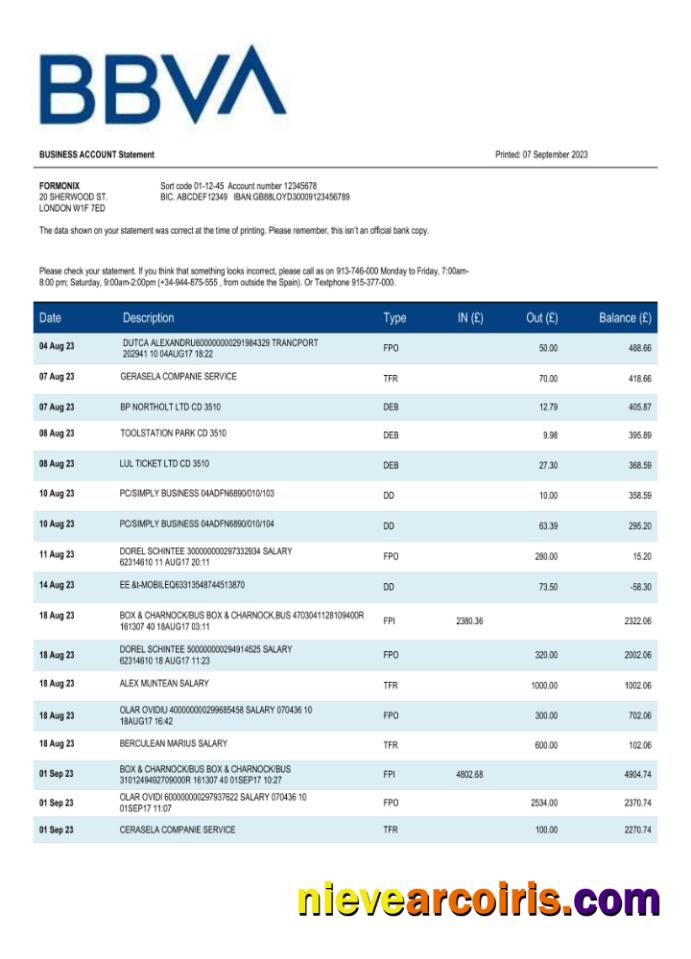 Realistic BBVA Bank Organization Statement Word And PDF Template