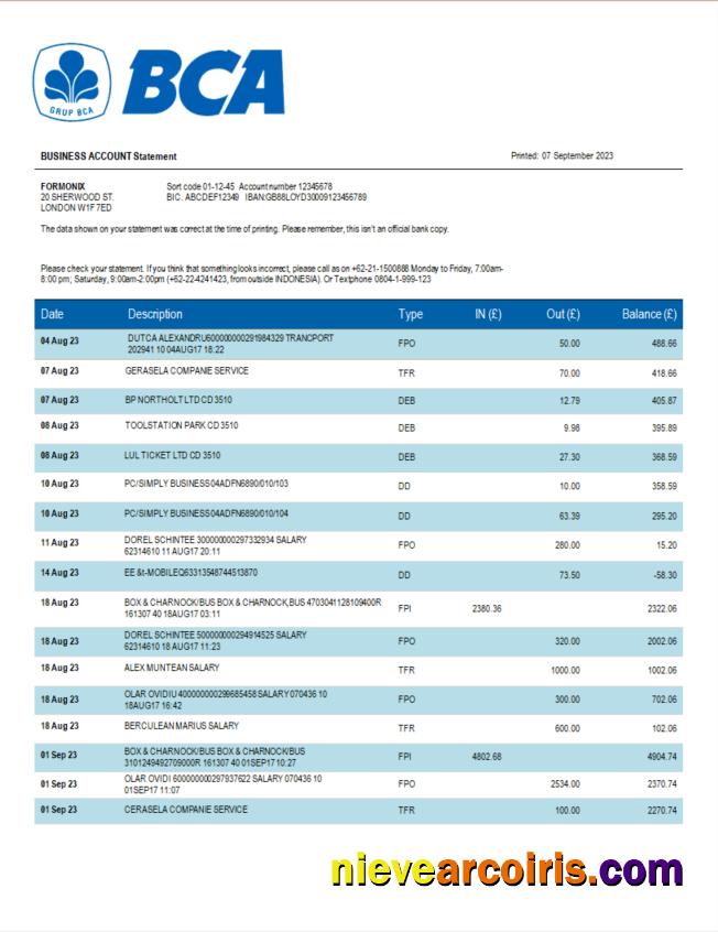 Editable BCA Bank Organization Statement Word And PDF Template