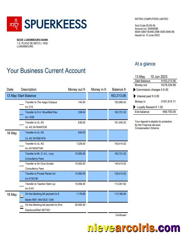 Realistic BCEE Luxembourg Bank Firm Account Statement Word And PDF Template