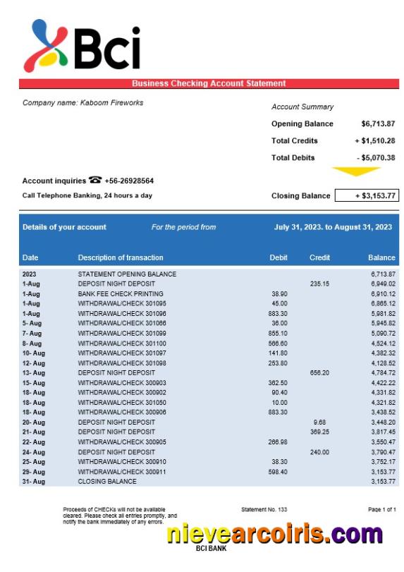 Premium BCI Bank Company Account Statement Word And PDF Template