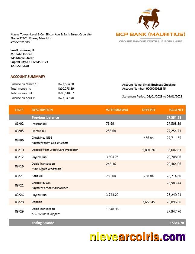 Realistic BCP Bank Enterprise Account Statement Word And PDF Template