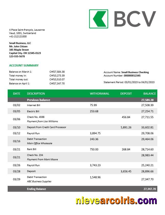 Professional BCV Bank Company Account Statement Word And PDF Template