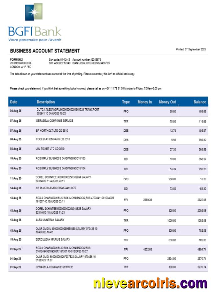 BGFI Bank Firm Account Statement Word And PDF Format Sample
