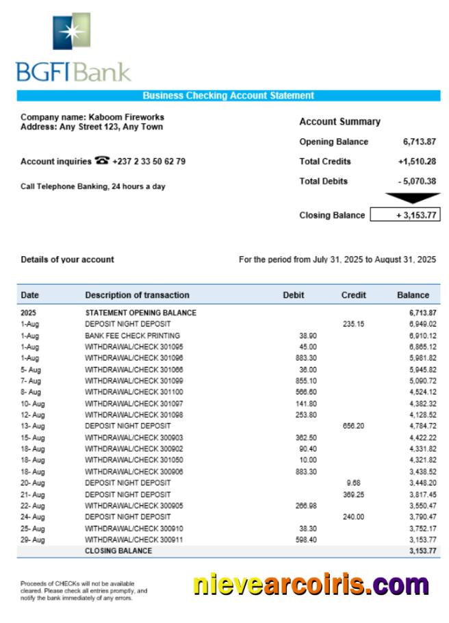 BGFI Business Bank Statement Word And PDF Format Photolook