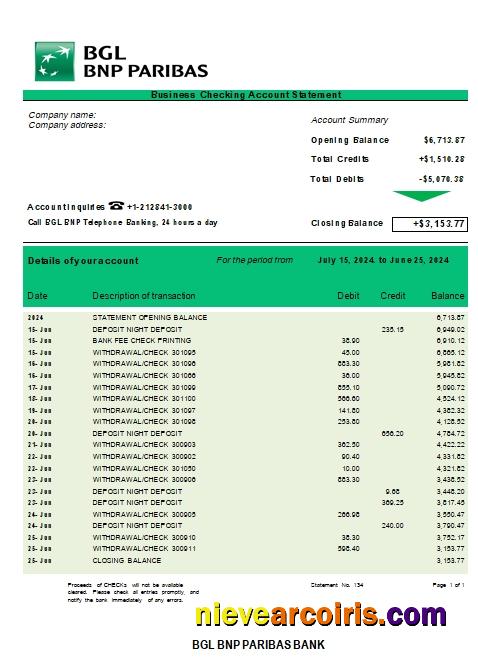 Premium BGL BNP Paribas Business Checking Account Statement Word And PDF Template Scr