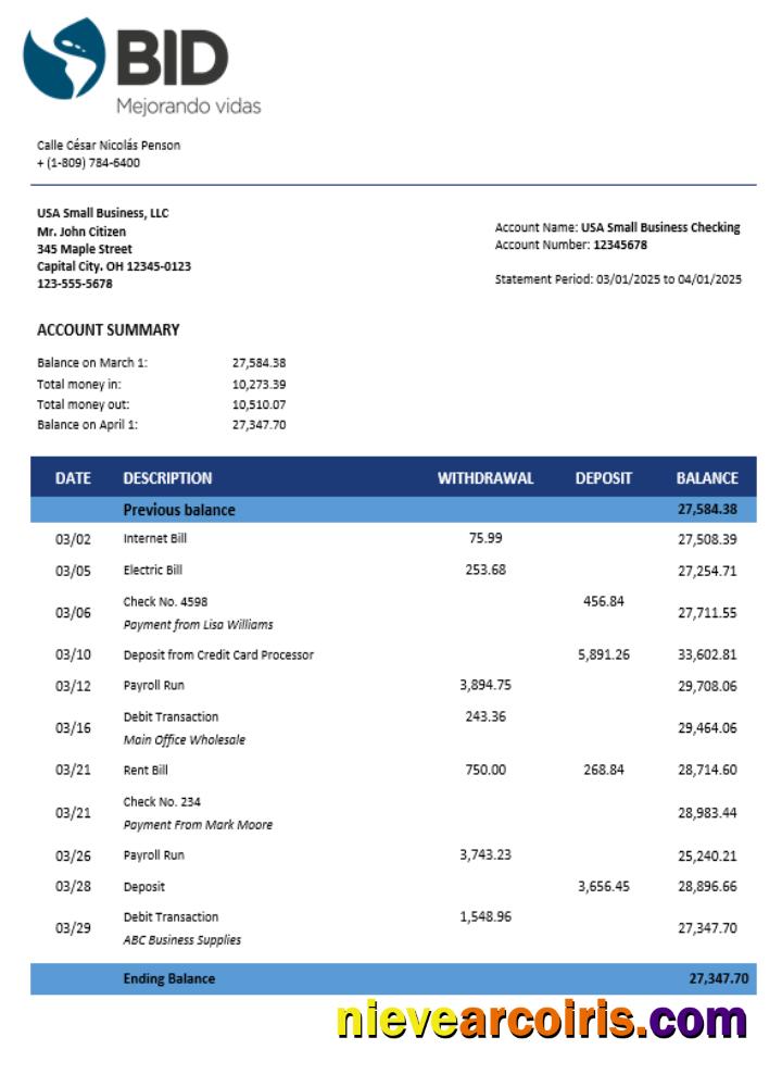Editable BID Business Account Statement Word And PDF Template