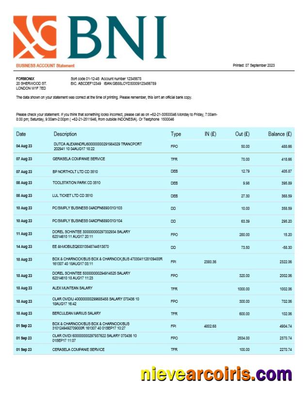 Editable BNI Bank Firm Statement Word And PDF Template