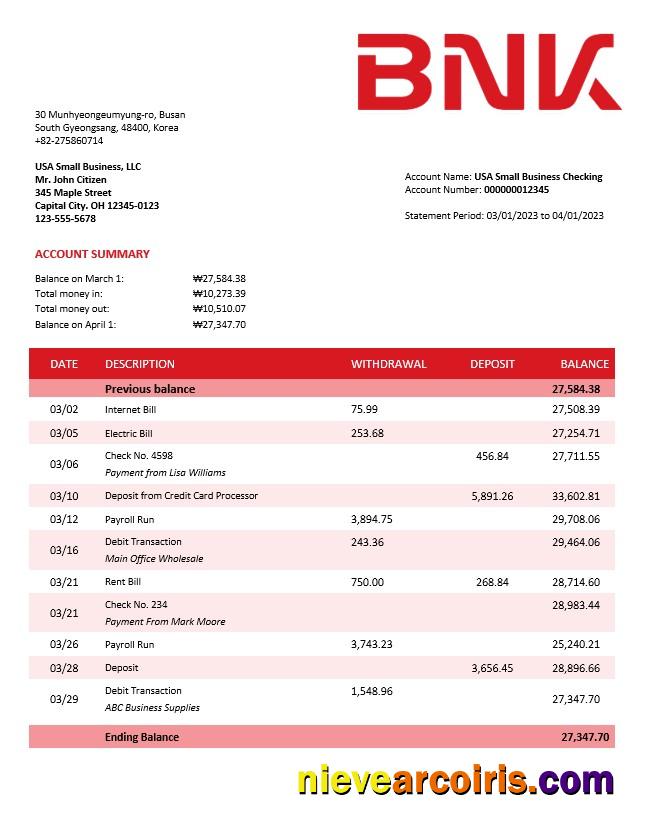 Realistic BNK Financial Group Enterprise Statement Word And PDF Template