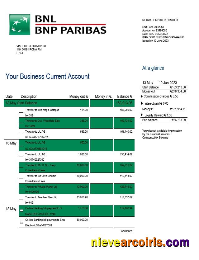 Editable BNL Bank Enterprise Statement Word And PDF Template