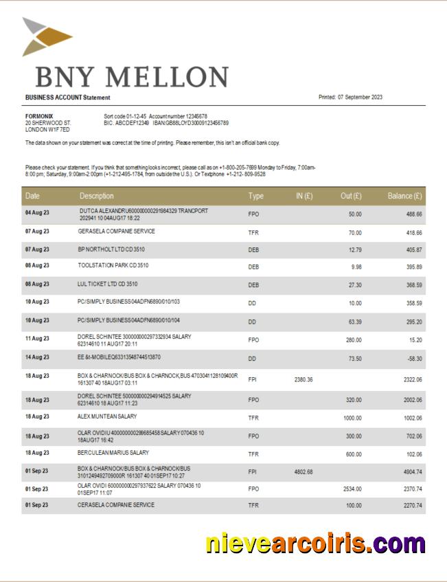 Realistic BNY Mellon Bank Company Checking Account Statement Word And PDF Template