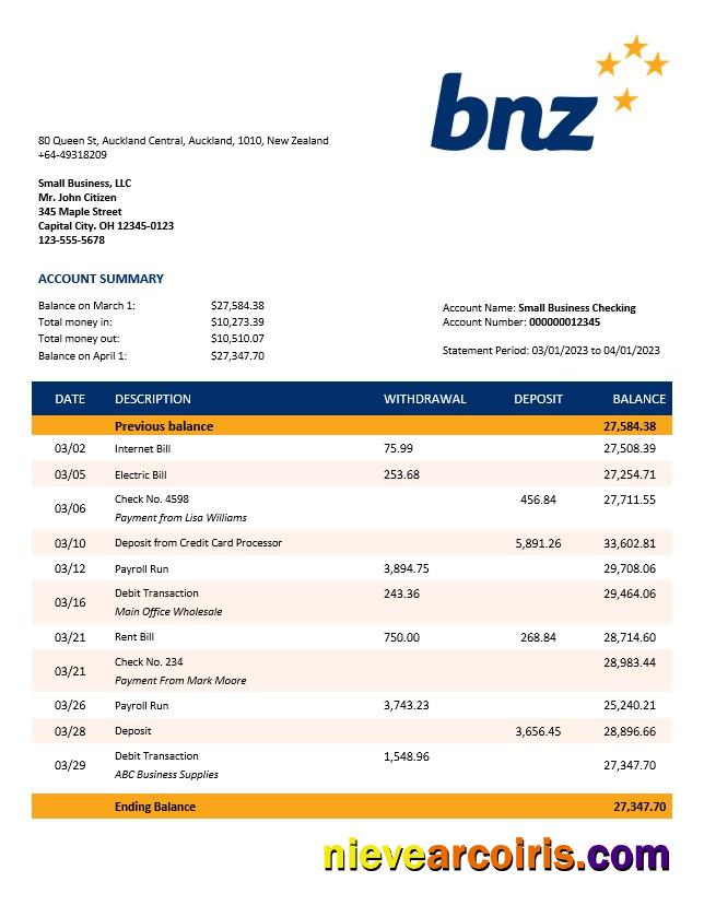 Editable BNZ Bank Organization Account Statement Word And PDF Template