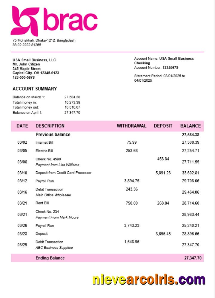 Professional BRAC Corporate Checking Account Statement Word And PDF Template