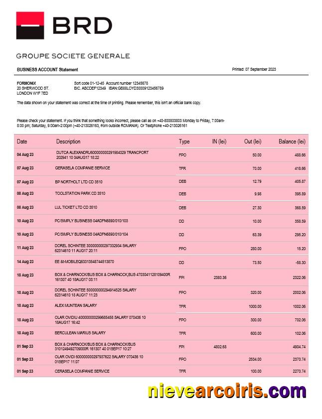 Premium BRD Bank Organization Account Statement Word And PDF Template