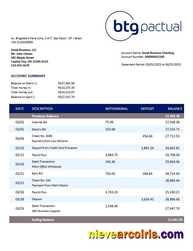 Premium BTG Pactual Bank Business Checking Account Statement Word And PDF Template