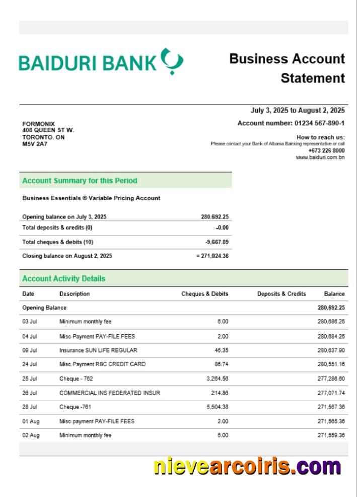 Professional Baiduri Bank Business Account Statement Word And PDF Template
