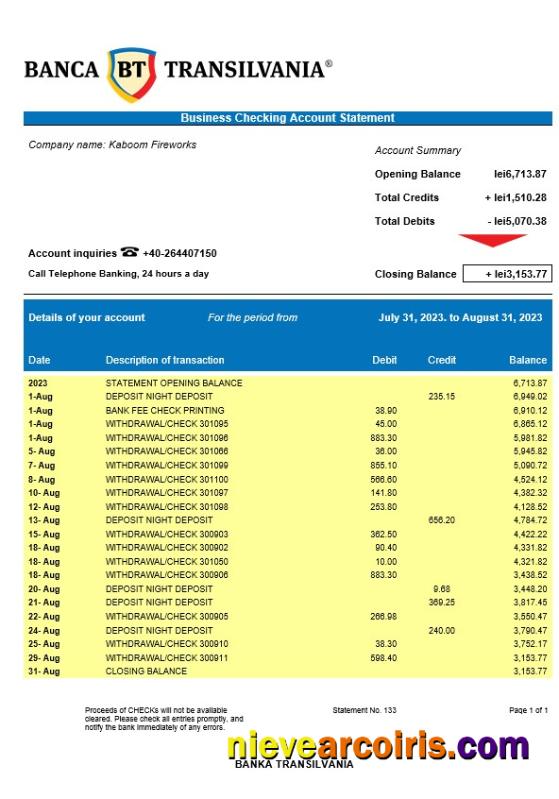Editable Banca Transilvania Company Account Statement Word And PDF Template