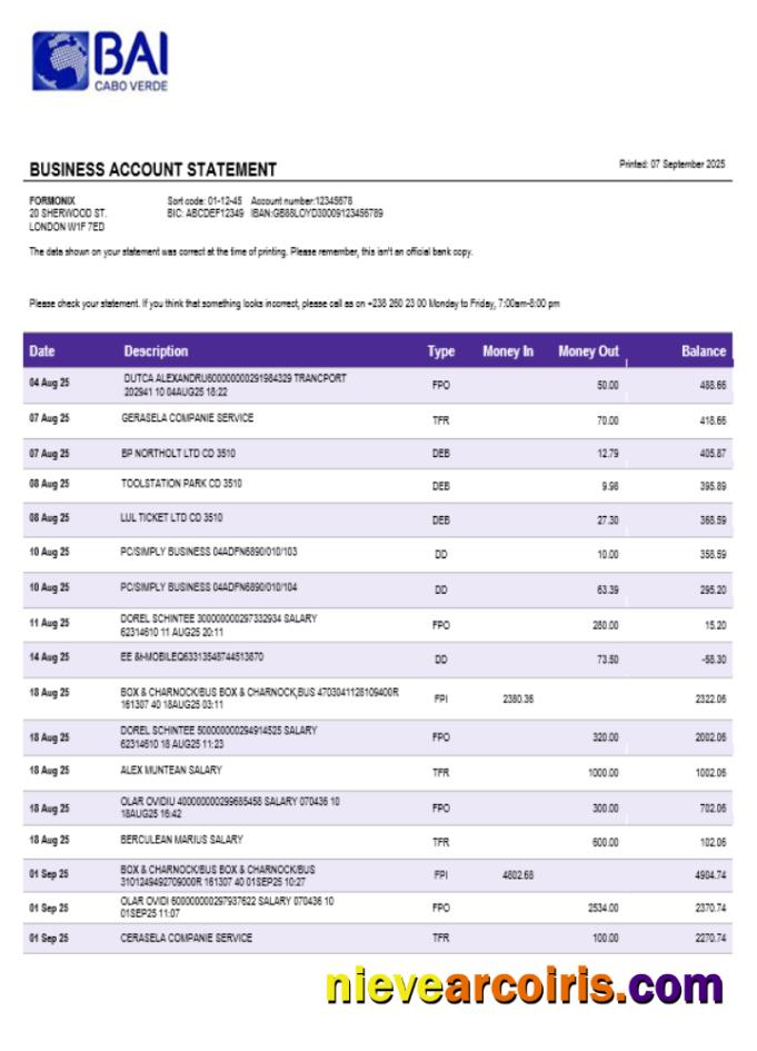 Banco Africano De Investimentos Business Bank Statement Word And PDF Format Sample