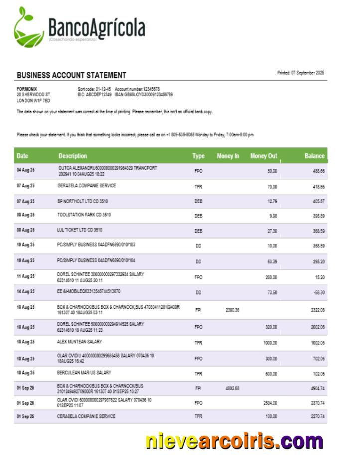 Realistic Banco Agricola Business Account Statement Word And PDF Template