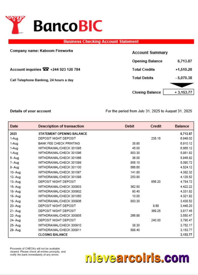 Realistic Banco BIC Business Account Statement Word And PDF Template