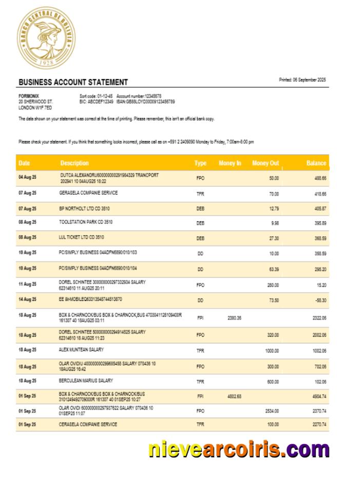 Banco Central De Bolivian Enterprise Statement Word And PDF Format Template