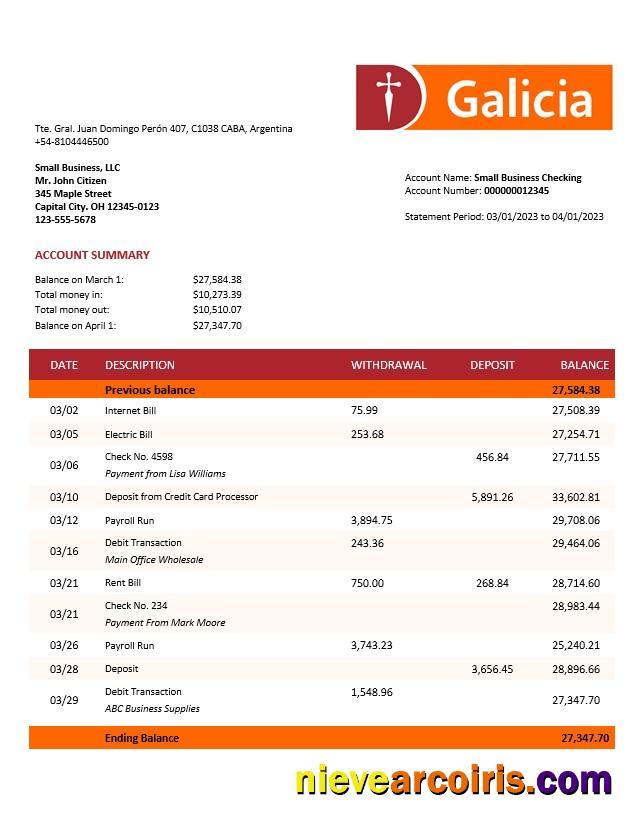 Premium Banco Galicia Company Account Statement Word And PDF Template