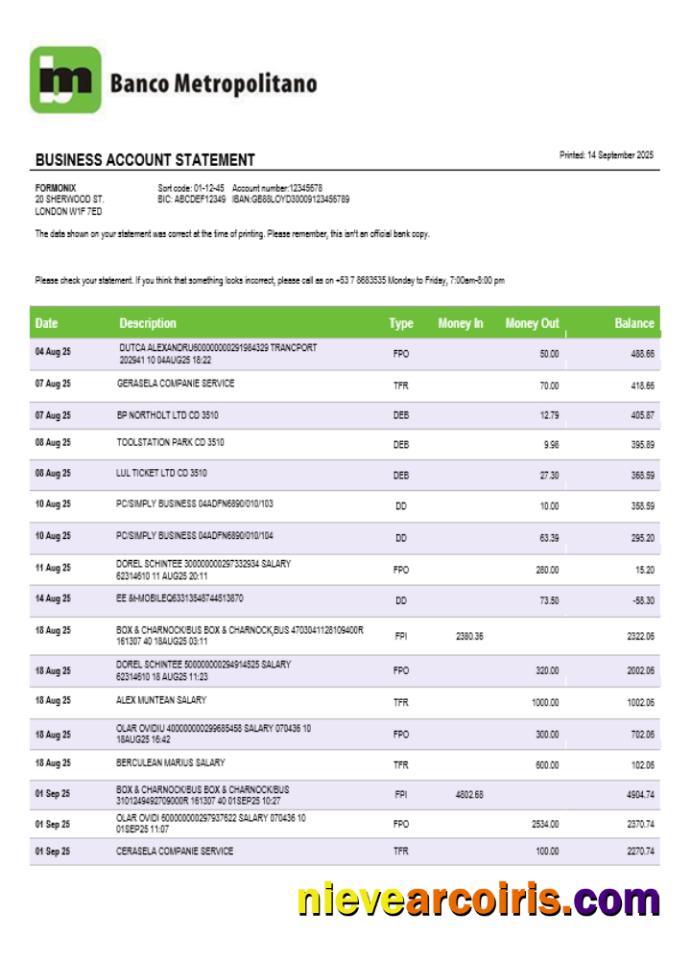 Realistic Banco Metropolitano Organization Checking Account Statement Word And PDF Template