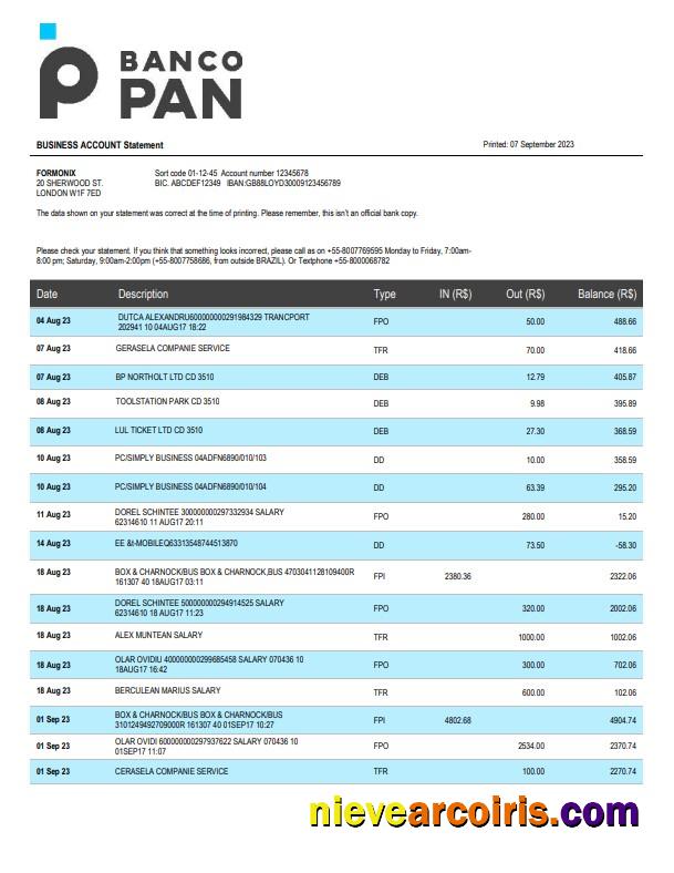 Editable Banco Pan Bank Firm Account Statement Word And PDF Template