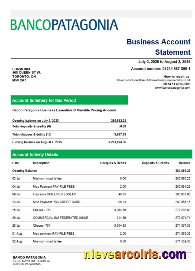 Banco Patagonia Business Bank Statement Word And PDF Format Template