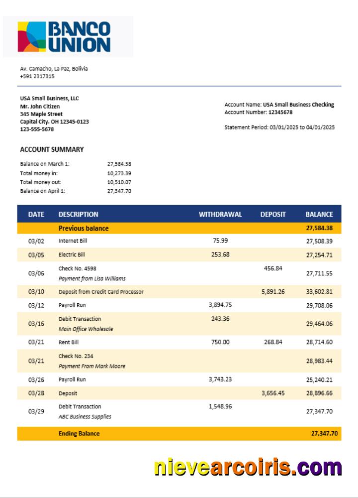 Banco Union Bank Business Firm Statement Word And PDF Format Preview