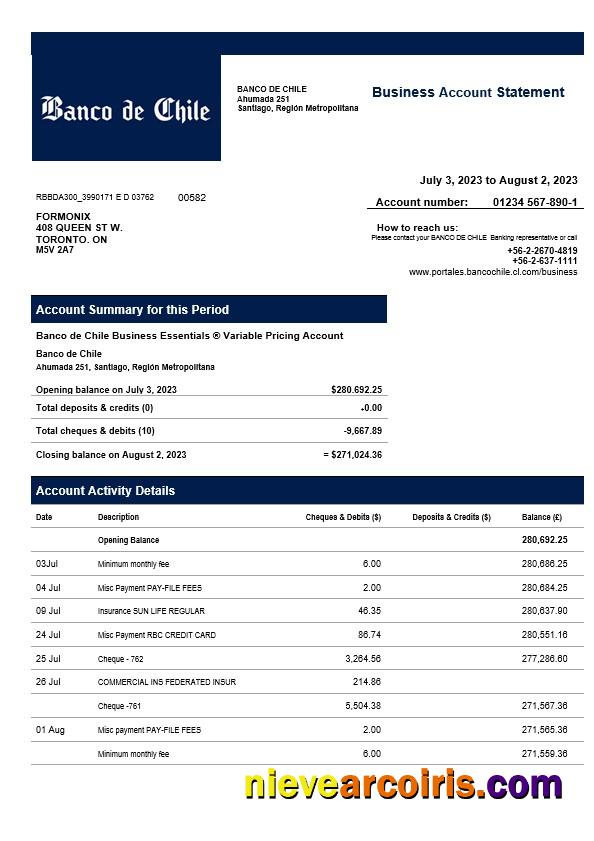 Premium Banco De Chile Organization Statement Word And PDF Template
