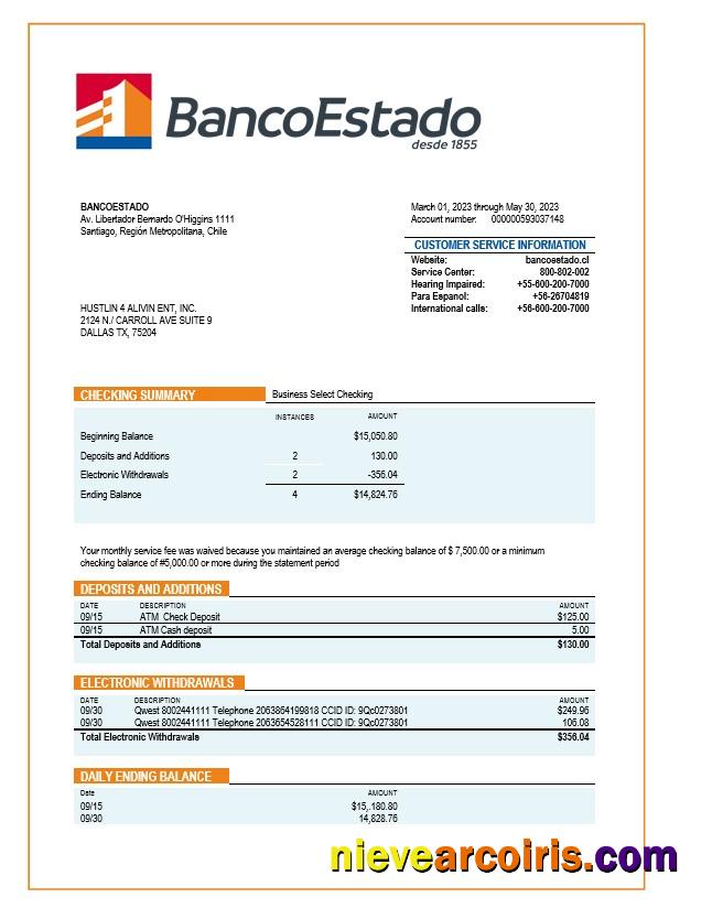Realistic Banco Del Estado De Chille Organization Statement Word And PDF Template