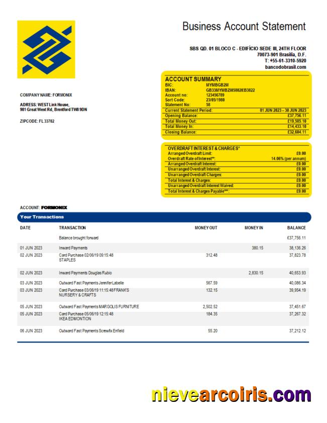 Editable Banco Do Brasil Bank Organization Account Statement Word And PDF Template
