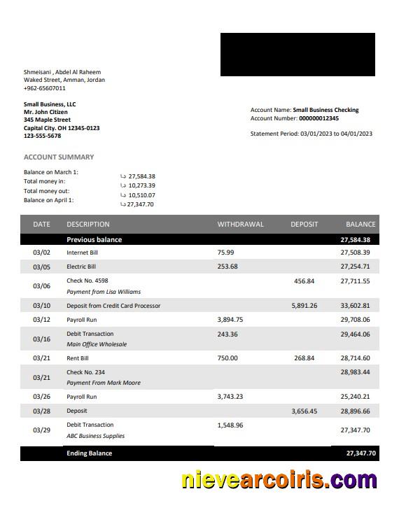 Editable Bank Al Etihad Firm Account Statement Word And PDF Template