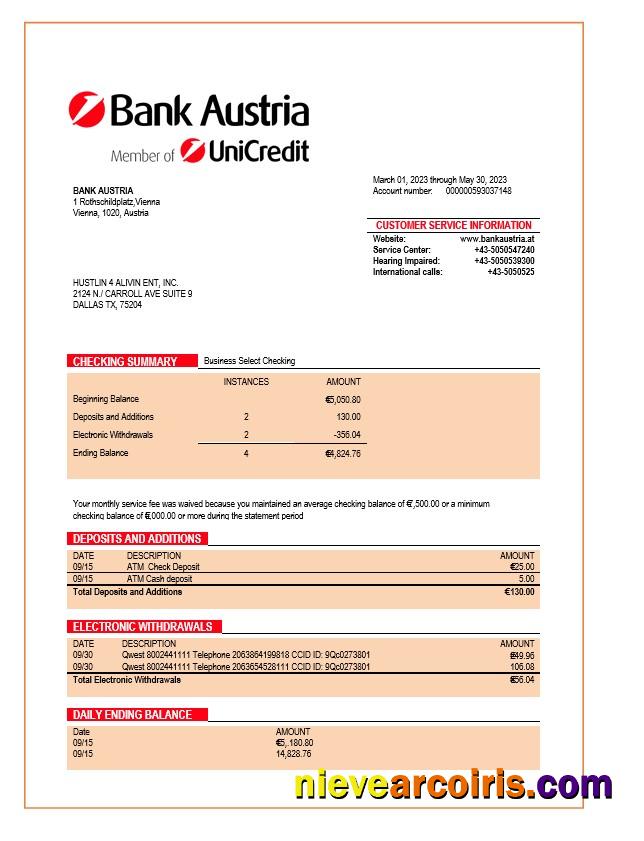 Premium Bank Austria Organization Statement Word And PDF Template