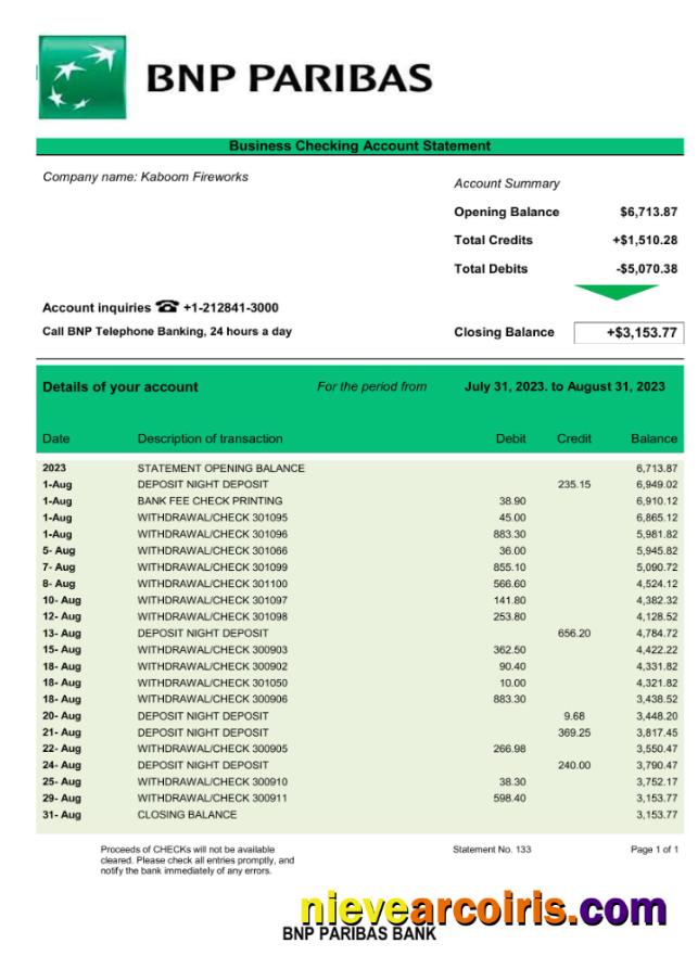 Premium Bank BNP Paribas Company Statement Word And PDF Template