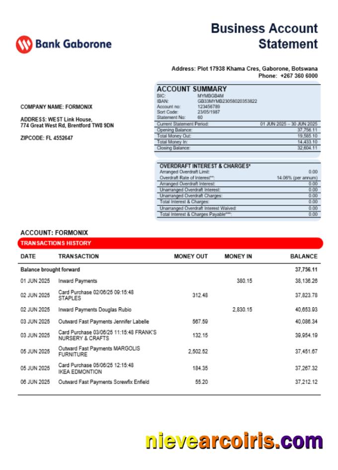 Bank Gaborone Business Firm Statement Word And PDF Format Photolook