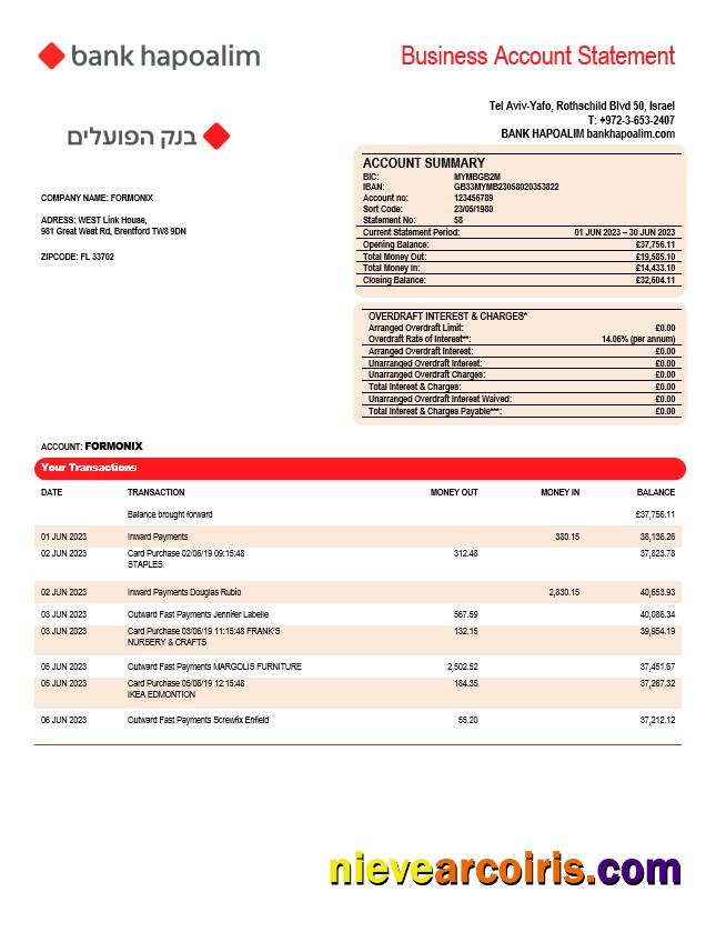 Professional Bank Hapoalim Firm Account Statement Word And PDF Template