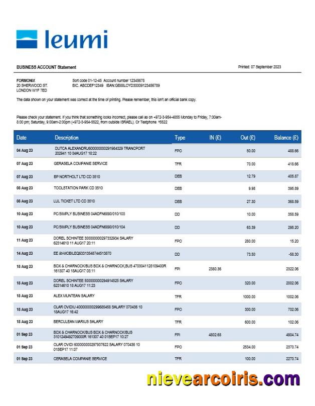 Realistic Bank Leumi Business Statement Word And PDF Template