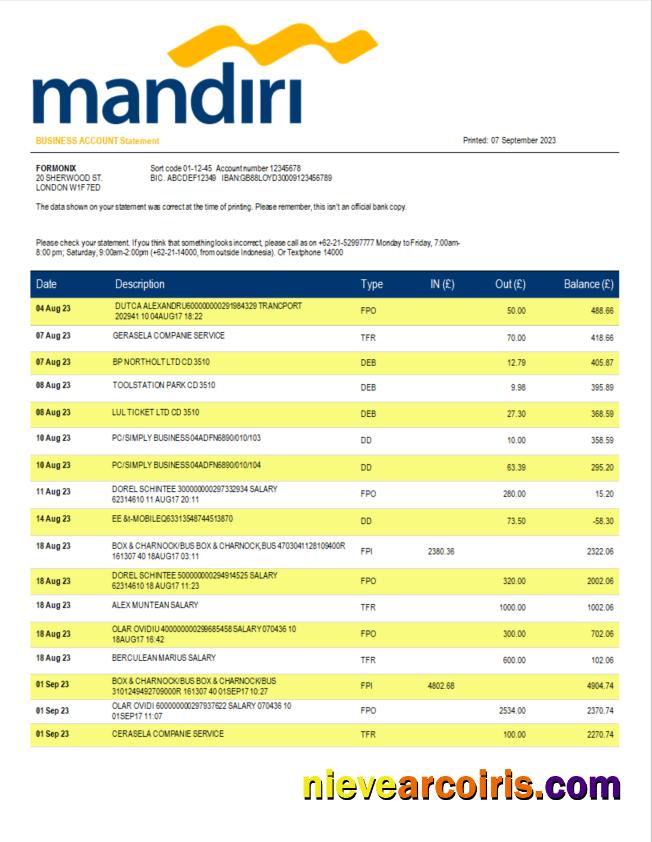 Realistic Bank Mandiri Organization Bank Statement Word And PDF Template