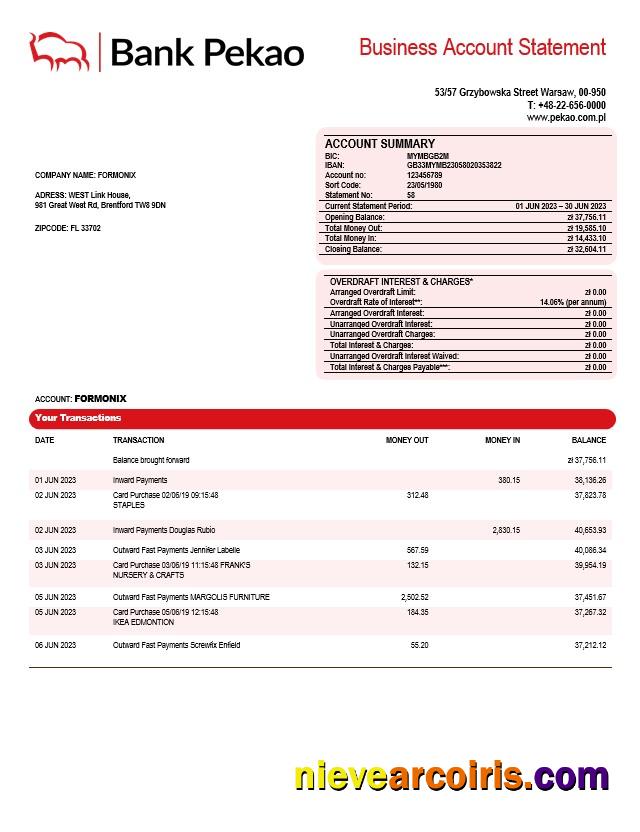Editable Bank Pekao S. A Company Statement Word And PDF Template