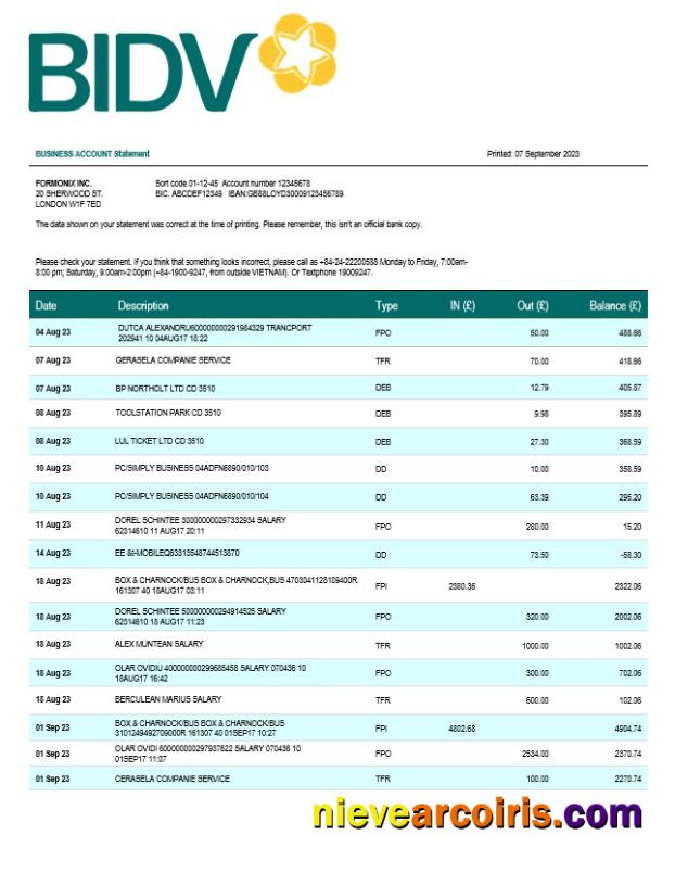 Realistic Bank For Investment And Development Of Vietnam (BIDV) Business Statement Word And PDF Template