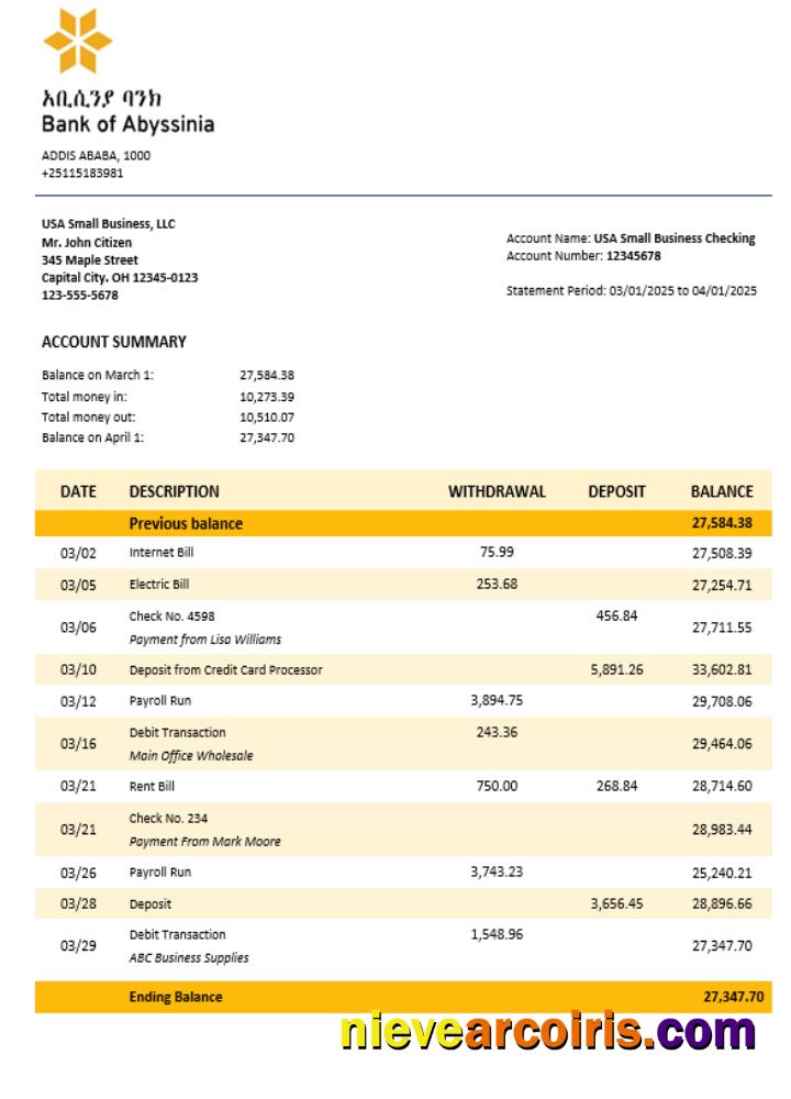 Bank Of Abyssinia Business Bank Statement Word And PDF Format Photolook