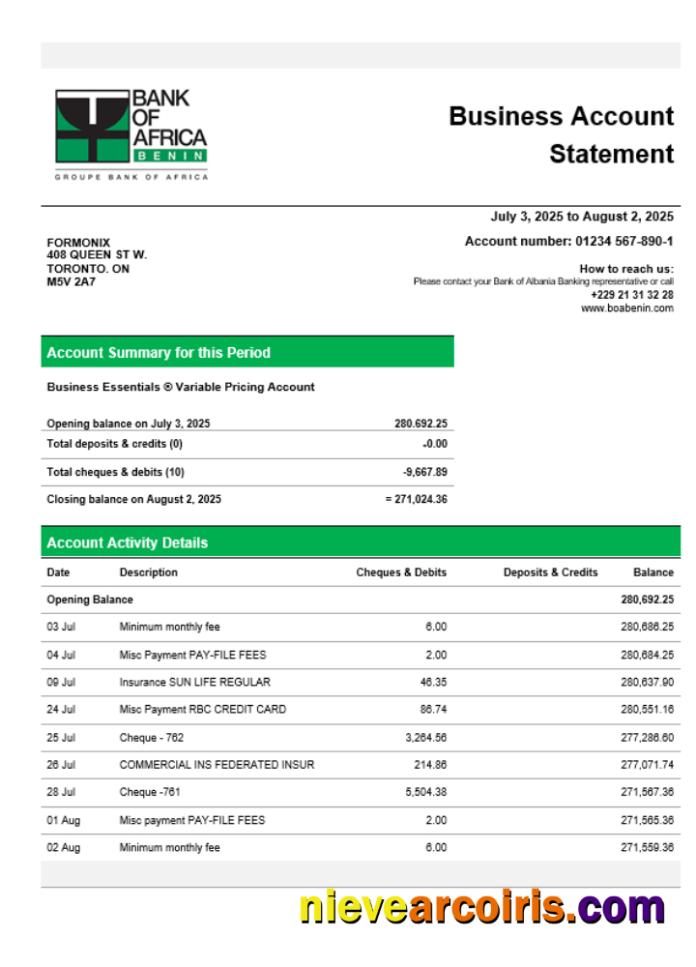 Premium Bank Of Africa Company Checking Account Statement Word And PDF Template