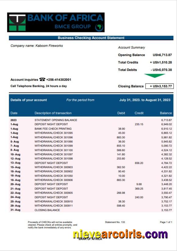 Professional Bank Of Africa Enterprise Account Statement Word And PDF Template