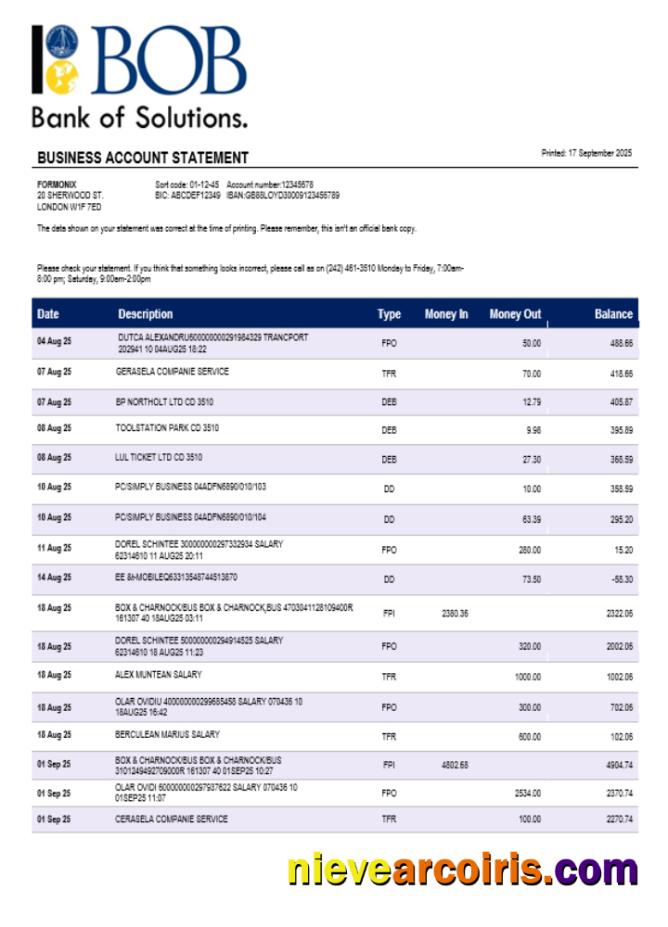 Professional Bank Of Bahamian Firm Account Statement Word And PDF Template