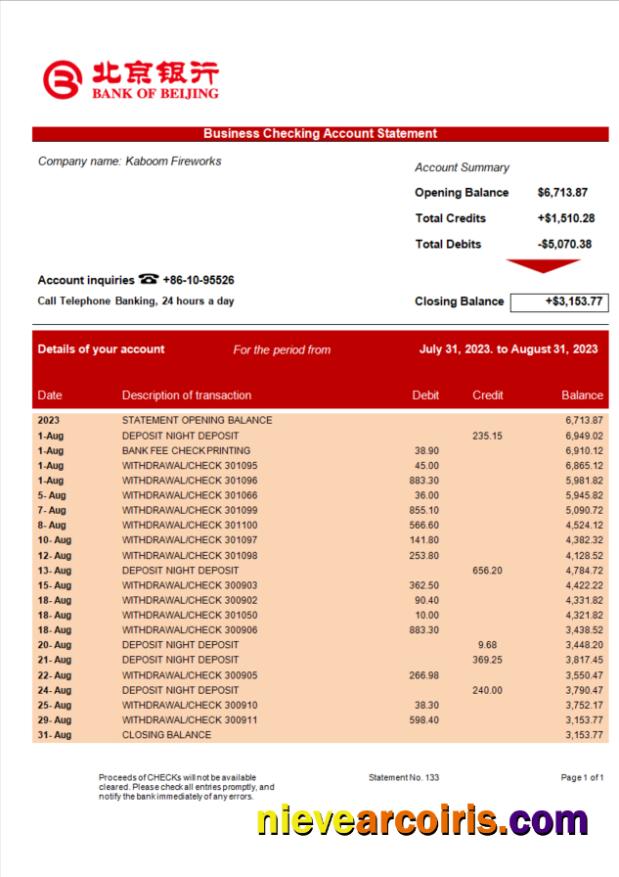 Professional Bank Of Beijing Firm Statement Word And PDF Template
