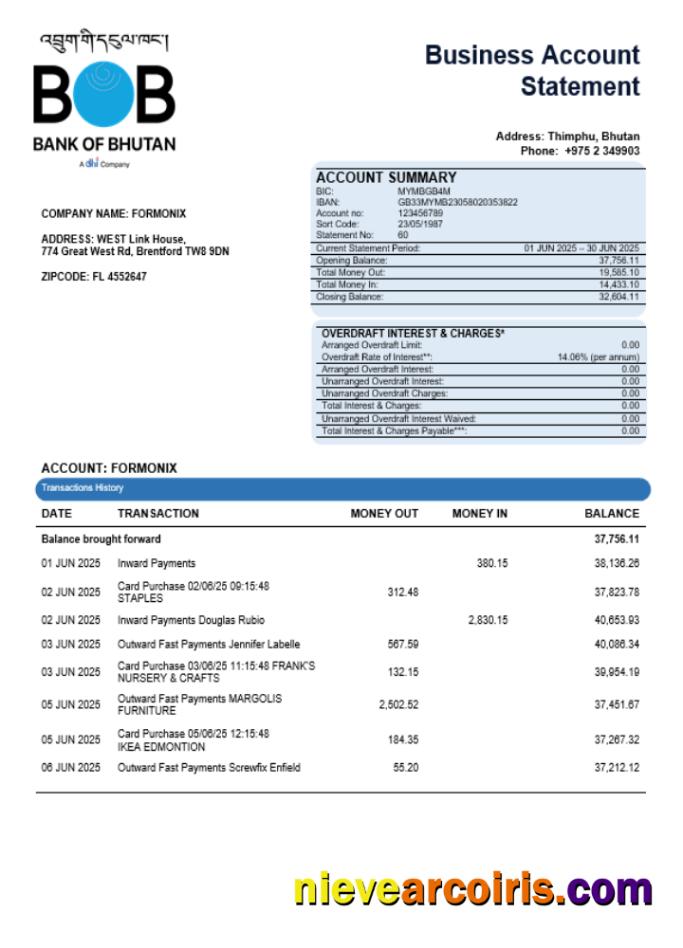 Realistic Bank Of Bhutanese Enterprise Account Statement Word And PDF Template