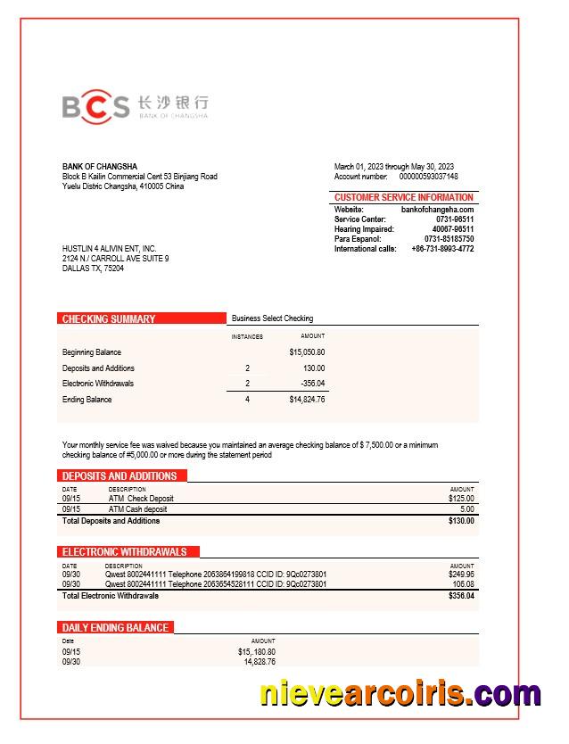 Professional Bank Of Changsha Enterprise Statement Word And PDF Template